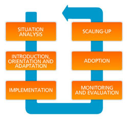 Methods Protocols Process Putting Evidence-Based Protocols into Practice | UNFPA Administrative Agent