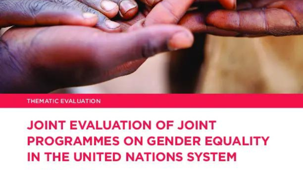 a photo with the text 'Joint evaluation of joint gender programmes in the UN system'