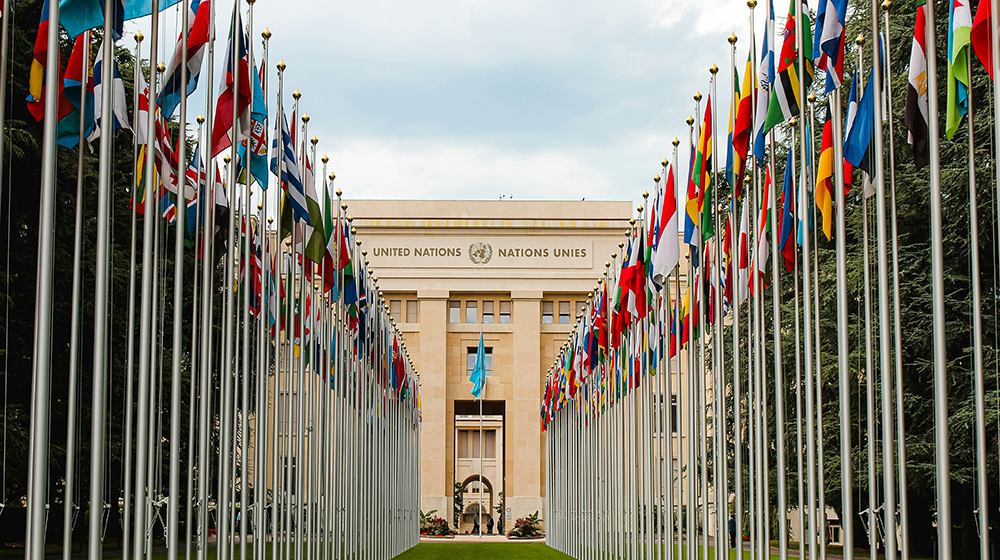 A large grand building with a long green path to it's entrance flanked with flags either side of the path