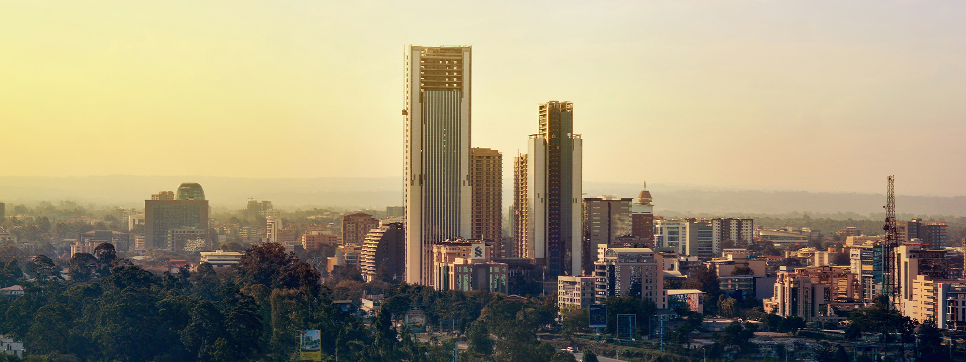 city skyline under white sky during daytime