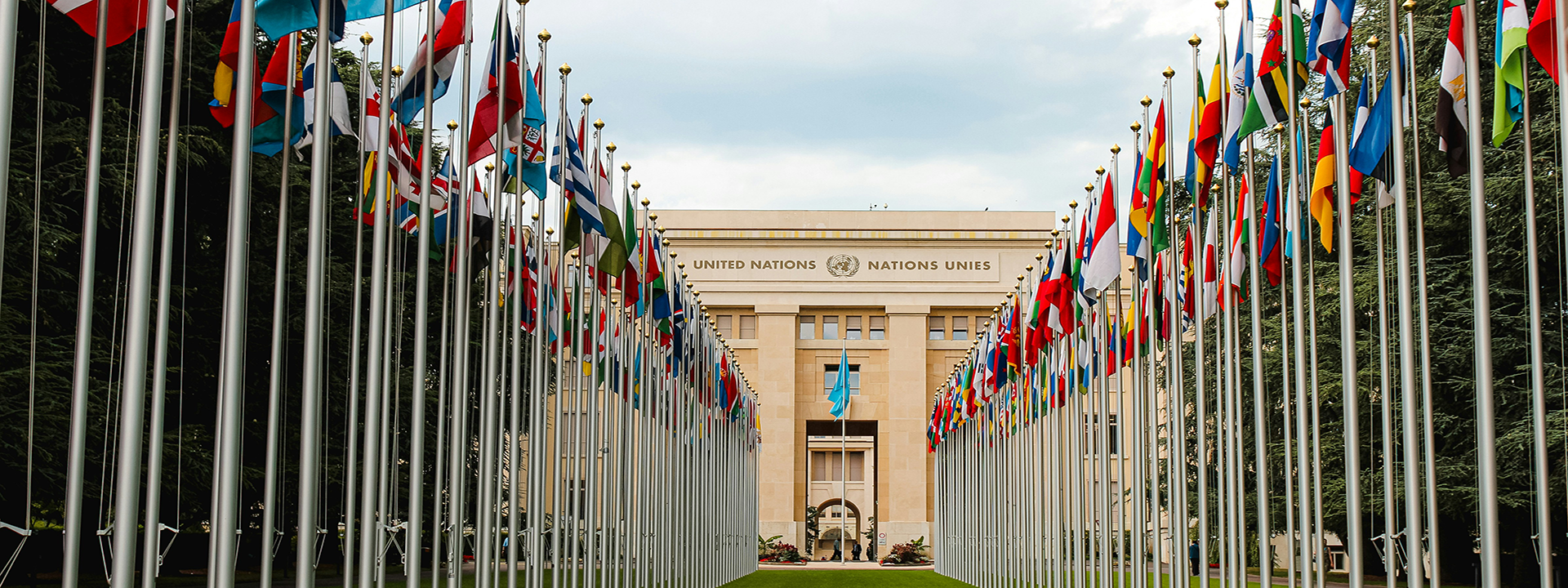A large grand building with a long green path to it's entrance flanked with flags either side of the path