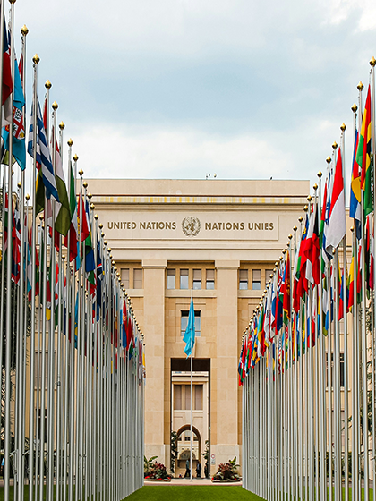 A large grand building with a long green path to it's entrance flanked with flags either side of the path
