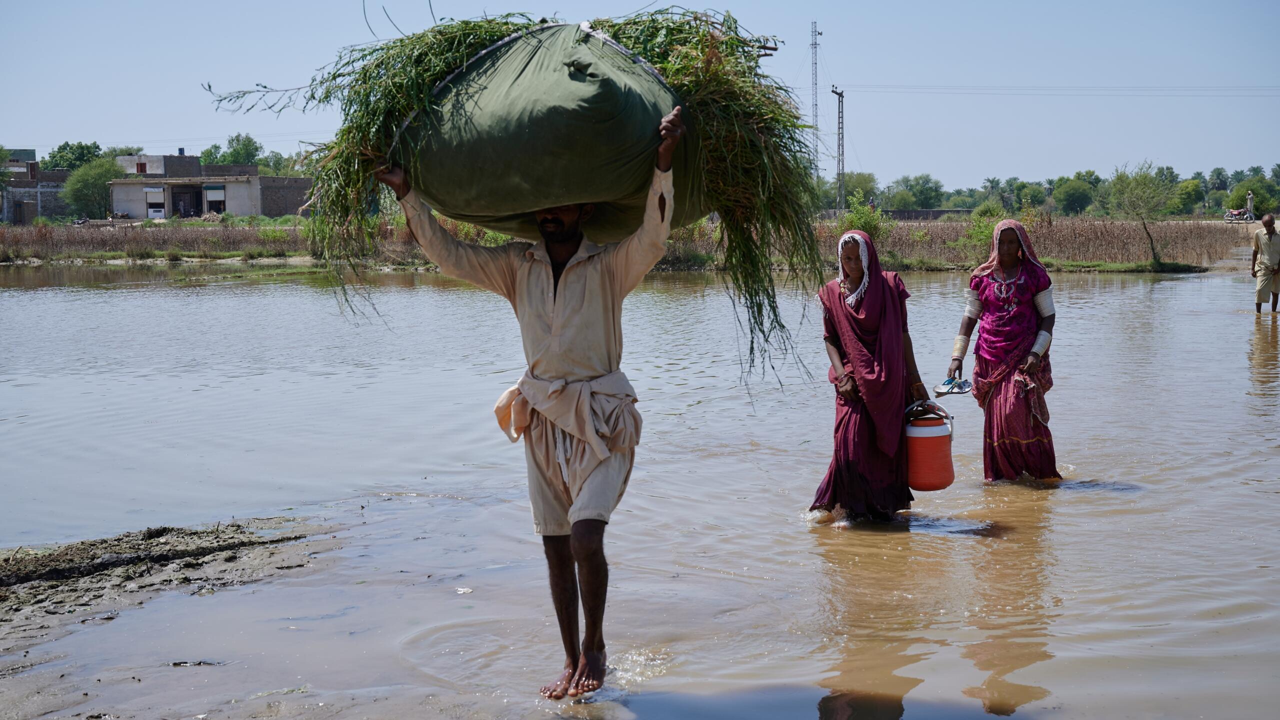 People carry belongings through water.