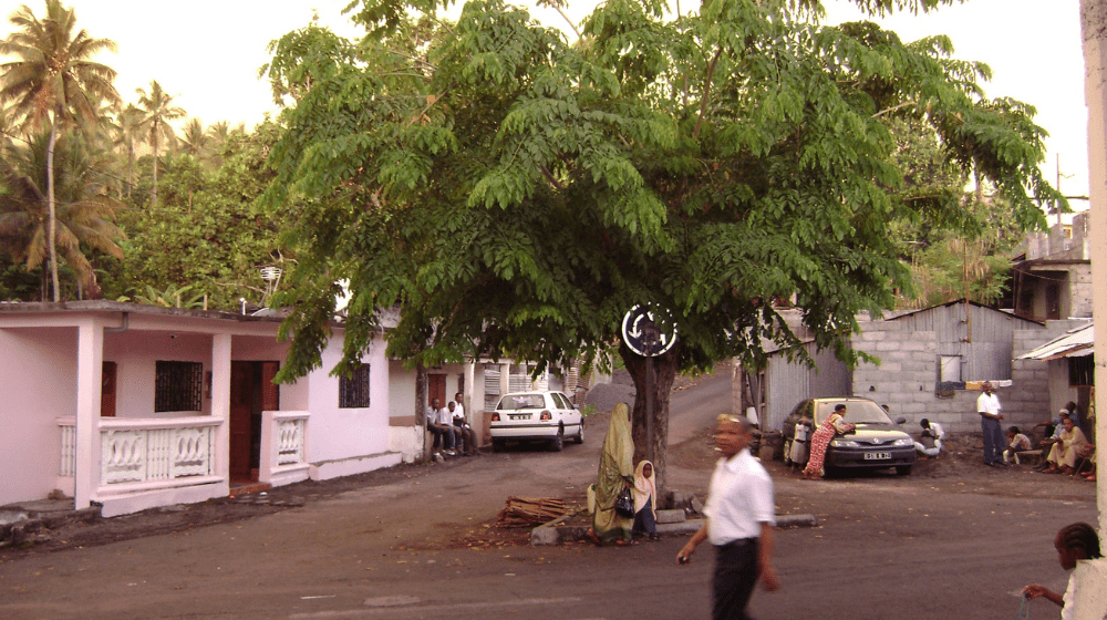 From teen mother to mentor in the Comoros