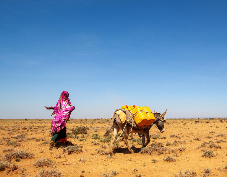 Una mujer y un animal cruzando un desierto.