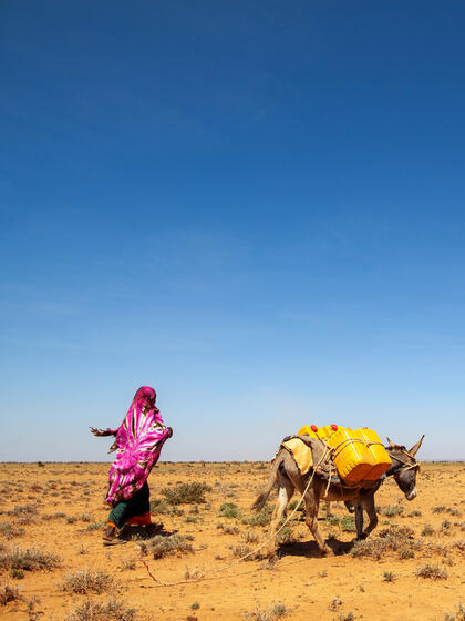 Una mujer y un animal cruzando un desierto.